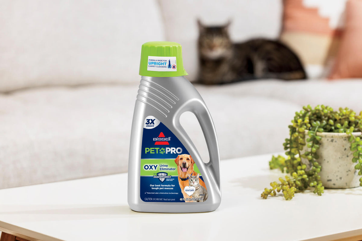 BISSELL TurboClean™ Upright Carpet Cleaner