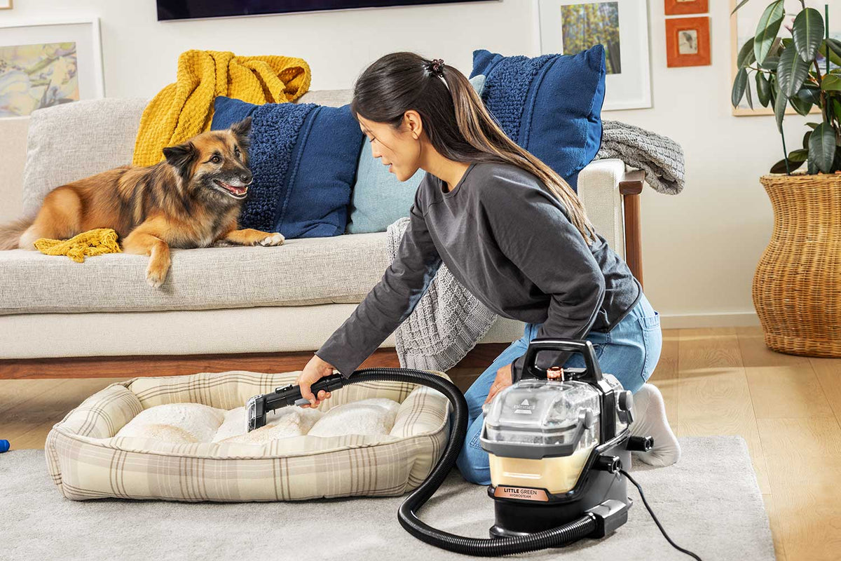 BISSELL Little Green® HydroSteam® Portable Carpet Cleaner